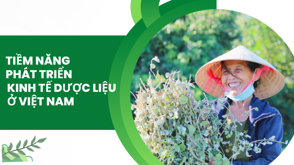 Nam Dược Thất Sơn